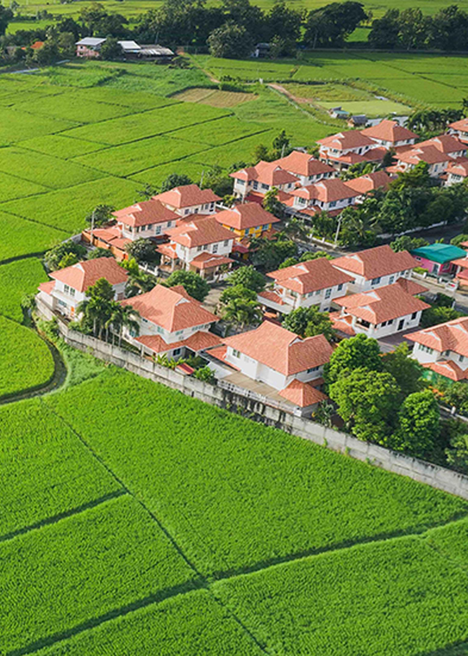Bild von Suchmandat rechter Zürichsee